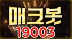 19003
